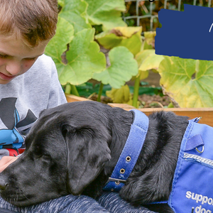How We Support Autism Therapy Dogs
