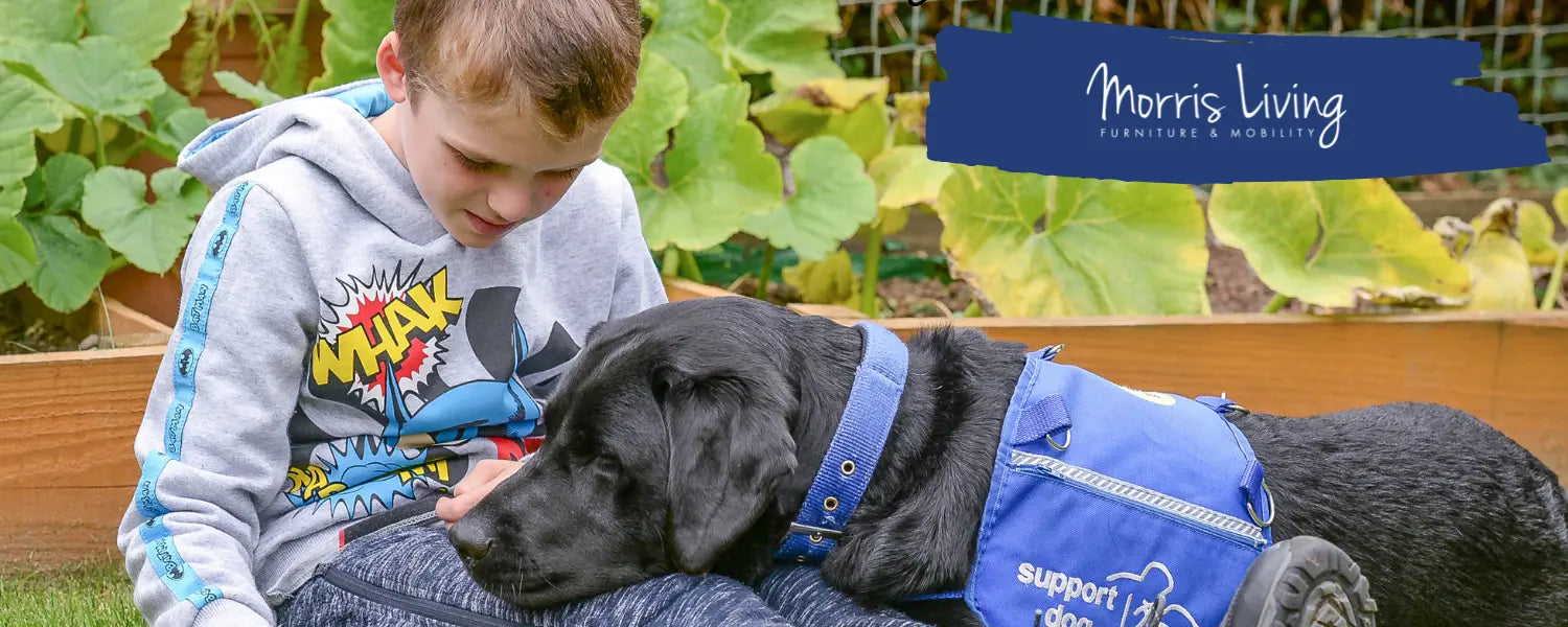 How-We-Support-Autism-Therapy-Dogs Morris Living