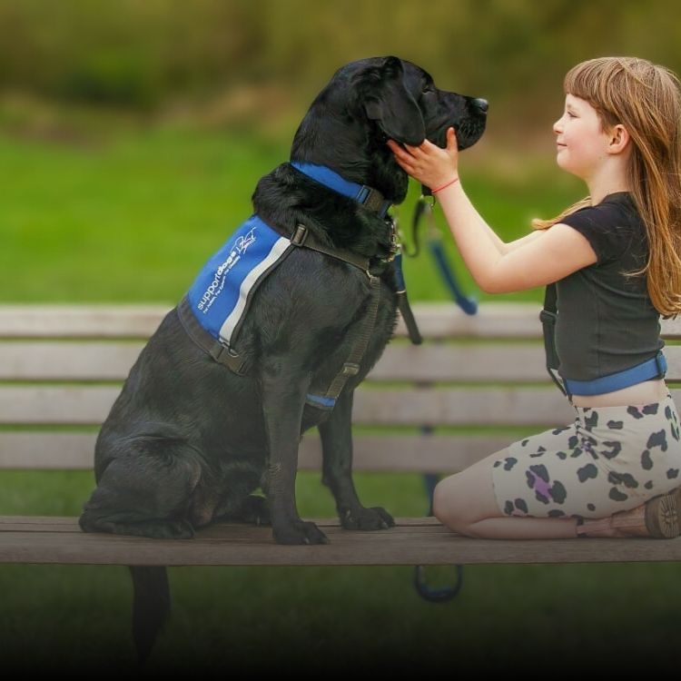 A young girl petting a guide dog.