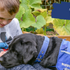 How We Support Autism Therapy Dogs