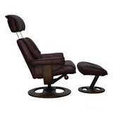 Newton Chestnut Leather Morris Living