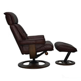 Newton Chestnut Leather Morris Living