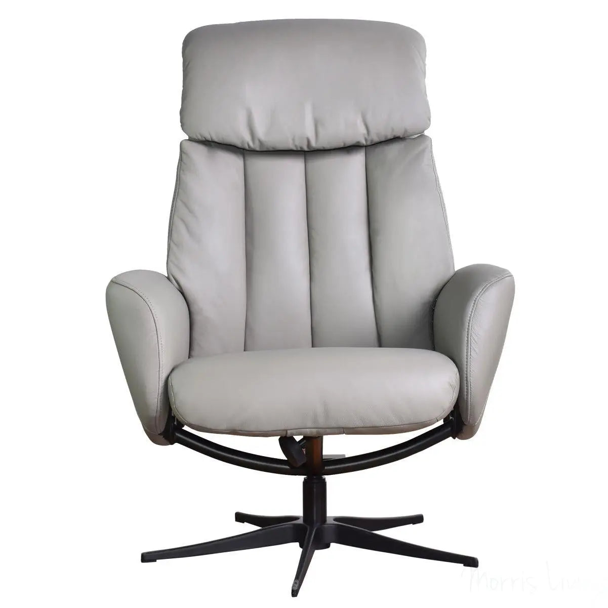 The Indiana Swivel Recliner Chair in Husky Genuine Leather and Black base. Morris Living